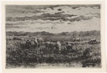 Paisagem com ovelhas