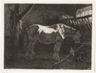 Cavalo em estábulo