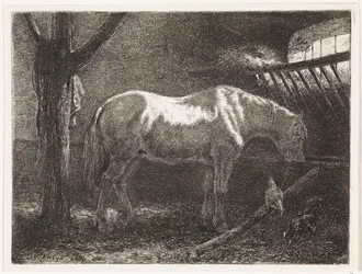 Cavalo no estábulo
