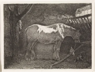 Cavalo em estábulo
