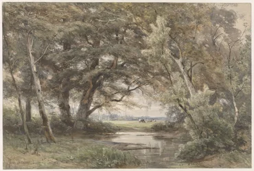 Água sob as árvores no fim de uma floresta