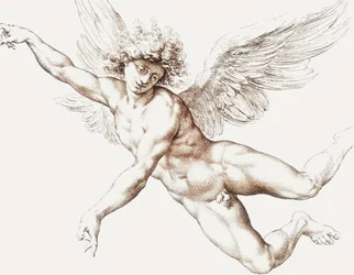 Anjo voador masculino nu.