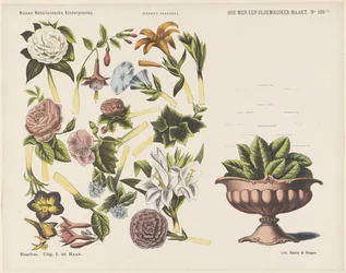 Como fazer um buquê de flores / (1) (título no objeto) Novas estampas infantis holandesas (título da série no objeto) Estampas do Funke (título da série no objeto)