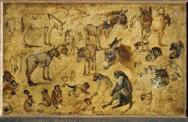 Estudos de animais (pintura sobre madeira de carvalho)