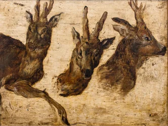 Cabeça de brocado (óleo sobre tela)