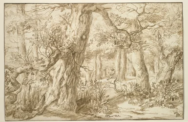 Forest Interior com desenhista, c.1664 (tinta marrom sobre papel antigo)