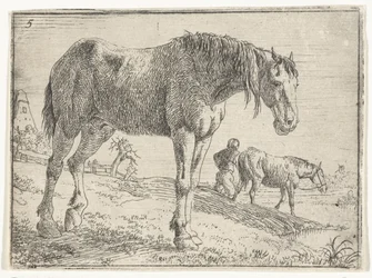 Cavalo em pé
Paisagens com cavalos (título da série)