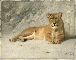 Leoa a descansar