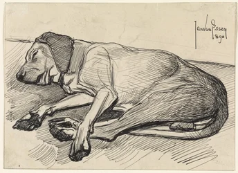 Cão adormecido, à esquerda