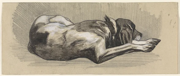 Cão adormecido, à direita