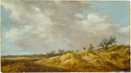 Caminho através das dunas