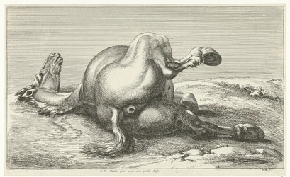 cavalo caído Cavalos Mortos (título da série)