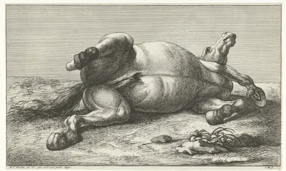 Cavalo morto deitado no seu lado esquerdo
Cavalos mortos (título da série)