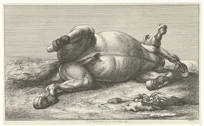 Cavalo morto deitado no seu lado esquerdo
Cavalos mortos (título da série)