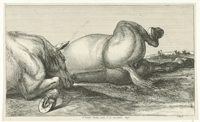 Dois cavalos mortos atrás um do outro Cavalos Mortos (título da série)