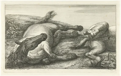 Dois cavalos caídos, o esquerdo visto de frente Cavalos Mortos (título da série)