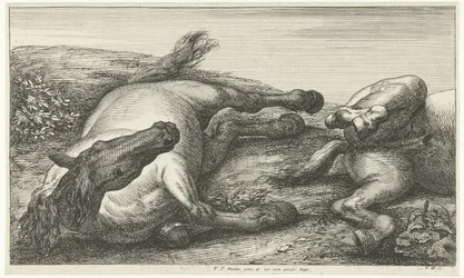 Dois cavalos caídos, o esquerdo visto de frente Cavalos Mortos (título da série)