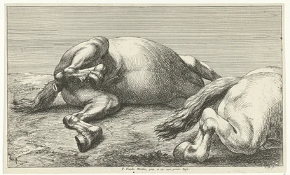 Dois cavalos caídos, o direito visto de lado Cavalos Mortos (título da série)