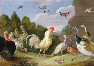 Paisagem arborizada com um galo, um peru, galinhas e outras aves, século XVII