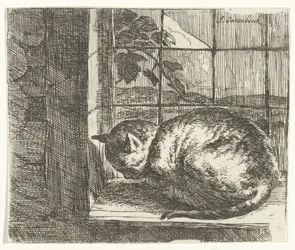 O gato na moldura da janela
