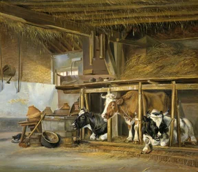 Vacas num estábulo
