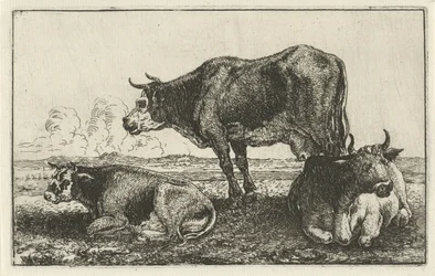 Três vacas Animais (título da série) Zoographiam (título da série)