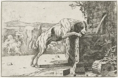 Cão em uma fonte Animais (título da série) Zoographiam (título da série)