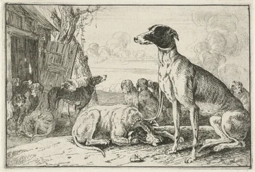canil Animais (título da série) Zoographiam (título da série)