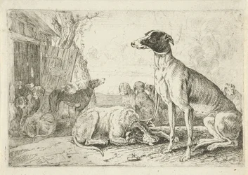 canil Animais (título da série) Zoographiam (título da série)