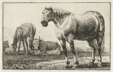 Cavalos e vacas Animais (título da série) Zoographiam (título da série)