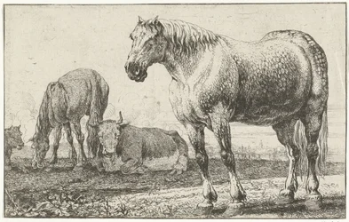 Cavalos e vacas
Animais (título da série)
Zoographiam (título da série)