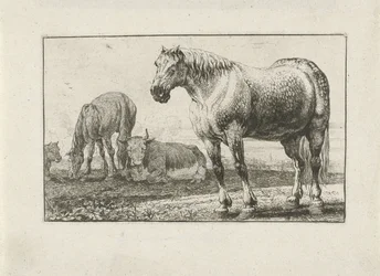 Cavalos e vacas Animais (título da série) Zoographiam (título da série)