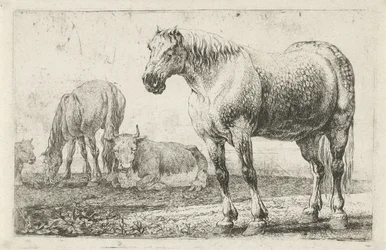 Cavalos e vacas
Animais (título da série)
Zoographiam (título da série)