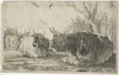Vacas em repouso
Animais (título da série)
Zoographiam (título da série)
