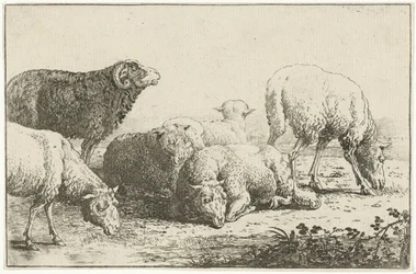 Schapen
Dieren (título da série)
Zoographiam (título da série)