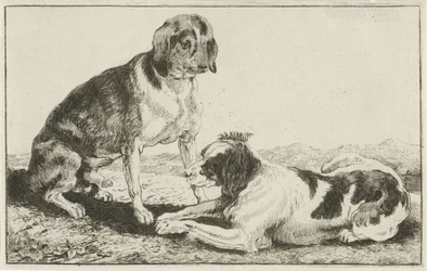 Dois cães em repouso
Animais (título da série)
Zoographiam (título da série)
