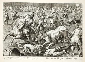 Uma tourada de massa em um recinto, ilustração de &39;Venationes, Ferarum, Avium, Piscium&39; (de caça: feras, pássaros, peixes), gravada por Jan Collaert (1566-1628), pub. por Phillipus Gallaeus, Amst