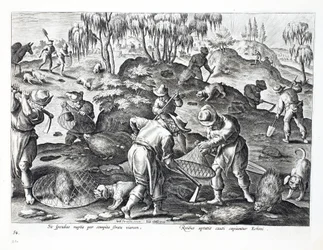 Escavando e capturando Porcupines, placa 54, ilustração de &39;Venationes, Ferarum, Avium, Piscium&39; (de caça: feras, pássaros, peixes), gravada por Jan Collaert (1566-1628), pub. por Phillipus