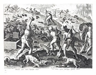 Escavar e capturar texugos, ilustração de &39;Venationes, Ferarum, Avium, Piscium&39; (de caça: feras, pássaros, peixes), gravada por Jan Collaert (1566-1628), pub. por Phillipus Gallaeus, Ams