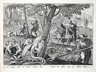 Caça Gatos com cães, ilustração de &39;Venationes, Ferarum, Avium, Piscium&39; (da caça: Animais selvagens, pássaros, peixes), gravada por Jan Collaert (1566-1628), bar. por Phillipus Gallaeus, Amsterdam (por