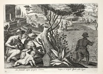 Caçando codorniz, ilustração de &39;Venationes, Ferarum, Avium, Piscium&39; (da caça: Bestas selvagens, pássaros, peixes), gravada por Jan Collaert (1566-1628), bar. por Phillipus Gallaeus, Amsterdã