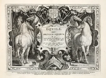 Ilustração de animais selvagens, pássaros, peixes &39;(de animais de caça selvagens, pássaros, peixes), gravado por Jan Collaert (1566-1628), pub. por Philip Gallaeus Amsterdam