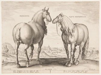 Um Cavalo Romano, do primeiro conjunto de "Equile Joannis Austriaci"