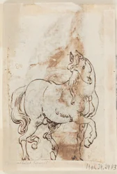 Página de um livro de desenho; Estudo para pintura de Santa Madalena; Um garanhão