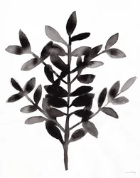 Botânica com feto Nagi III (tinta sobre papel)