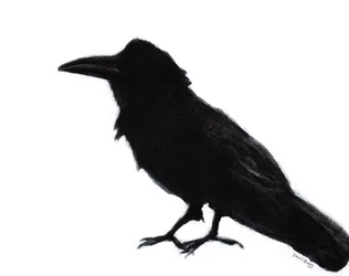 Raven at Baker Beach, c. 2023 (técnica mista sobre papel)