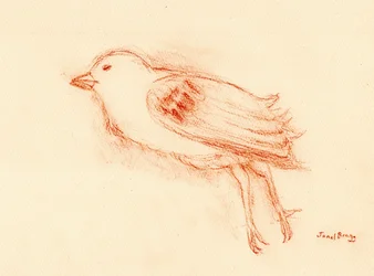 Vulnerabilidade e morte no verão (Pássaro morto junto à minha escada III) c.2021 (pastel sobre papel)