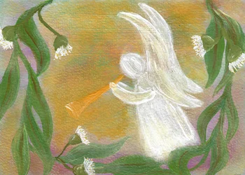 Trombeta-de-anjo de eucalipto