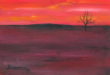 Árvore solitária ao pôr do sol