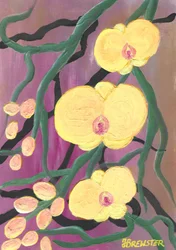 Orquídeas amarelas vibrantes